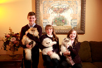 The 3 Nelson Kids and the 3 Cats