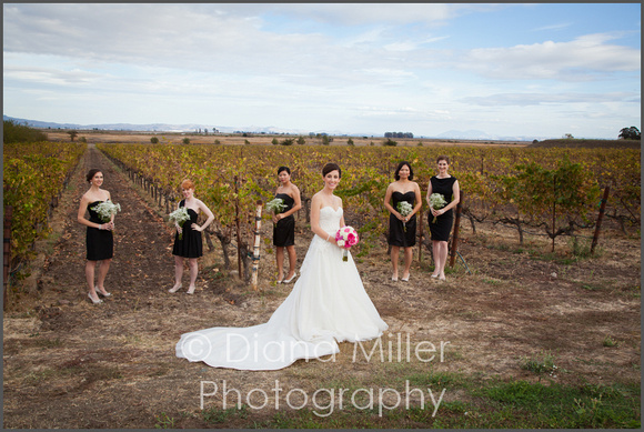 Wine Country Weddings