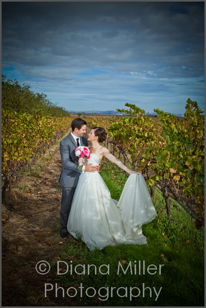 Wine Country Weddings
